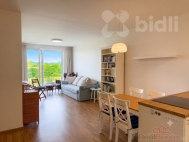 Pron�jem bytu 2+kk, 60 m2, OV, Horom��ice (okres Praha-z�pad), ul. Velvarsk�
