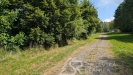 PXL_20260716_091644065.MP.jpg