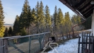 PXL_20260227_083815515.jpg