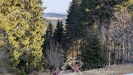 PXL_20260227_084128889.jpg