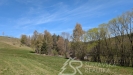 PXL_20260427_103806337.jpg