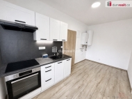 Pron�jem bytu 2+1, 40 m2, OV, Chaba�ovice (okres �st� nad Labem), ul. V Aleji