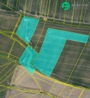 Prodej pozemku , zemědělská půda, Dolní Roveň, Komárov (okres Pardubice)