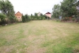 IMG_9937.JPG