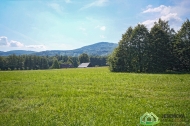 Prodej pozemku , určený k výstavbě RD, Černá Voda (okres Jeseník)