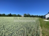 IMG_5906.jpeg