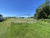 IMG_5905.jpeg