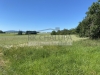 IMG_5909.jpeg