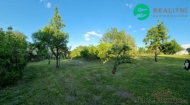 Prodej pozemku 1 177 m2, určený k výstavbě RD, Javorník, Bílý Potok (okres Jeseník)