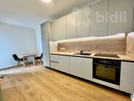 Pronájem bytu 1+kk, 47 m2, OV, Brno, Staré Brno (okres Brno-město), ul. Ghegova
