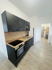 Pron�jem bytu 1+kk, 60 m2, OV, Lovosice (okres Litom��ice), ul. Z�meck�