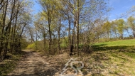 Prodej pozemku , specifick� plocha, Su�ice, Humpolec (okres Klatovy)