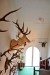 PET_3593.JPG