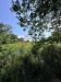 IMG_5858.jpeg