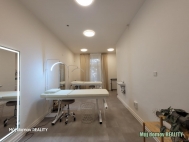 Pron�jem komer�n�ho objektu : Obchodn� centrum, Praha 9, Vyso�any