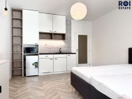 Pron�jem bytu 1+kk, 38 m2, OV, Brno, Z�brdovice (okres Brno-m�sto), ul. Cejl