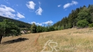 PXL_20260728_082851461.jpg