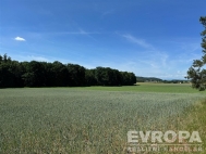 Prodej pozemku , zem�d�lsk� p�da, Ledce (okres Hradec Kr�lov�)