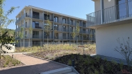 Pronájem bytu 2+kk, 0 m2, DV, Brno, Židenice (okres Brno-město)