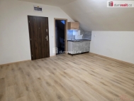 Pron�jem bytu 1+kk, 28 m2, OV, Nov� Ji��n, ul. B. Martin�