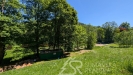 PXL_20260526_103709118.MP.jpg