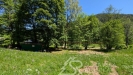 PXL_20260526_103554764.MP.jpg