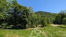 PXL_20260526_103631857.MP.jpg