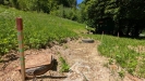 PXL_20260526_103131625.MP.jpg