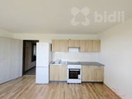 Pron�jem bytu 1+kk, 31 m2, OV, Ra�in�ves (okres Litom��ice)