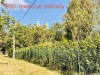 IMG_9569.jpeg