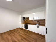 Pron�jem bytu 2+kk, 42 m2, OV, �esk� Bud�jovice, �esk� Bud�jovice 2, ul. K. Chocholy
