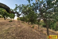 Prodej pozemku , zemědělská půda, Svatobořice-Mistřín, Mistřín (okres Hodonín)