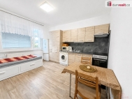 Pron�jem bytu 1+1, 34 m2, OV, �st� nad Labem, Moj���, ul. Pe�kova