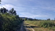 Prodej pozemku , určený k výstavbě RD, Dolní Věstonice (okres Břeclav)