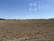 Prodej pozemku , ur�en� k v�stavb� RD, Pardubice, Dra�kovice - exkluzivn�