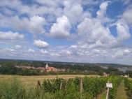 Prodej pozemku , ur�en� k v�stavb� RD, Doln� V�stonice (okres B�eclav)