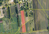 Prodej pozemku , zahrada, Bohuslavice (okres Šumperk)