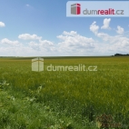 Prodej pozemku , zem�d�lsk� p�da, Doln� Bousov, Horn� Bousov (okres Mlad� Boleslav)