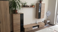 Pron�jem bytu 1+1, 41 m2, OV, Vy�kov, Vy�kov-P�edm�st�, ul. Trp�nky
