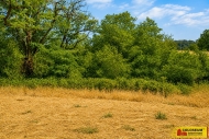 Prodej pozemku , zem�d�lsk� p�da, Dyje (okres Znojmo)
