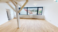 Pron�jem bytu 2+kk, 151 m2, OV, Pelh�imov, ul. Tylova