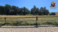 Prodej pozemku , určený k výstavbě RD, Nová Cerekev, Chmelná (okres Pelhřimov)