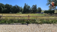 Prodej pozemku , určený k výstavbě RD, Nová Cerekev, Chmelná (okres Pelhřimov)