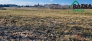 Prodej pozemku , zem�d�lsk� p�da, Hal�e (okres Tachov)