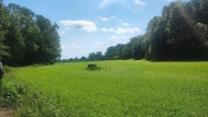 Prodej pozemku , zahrada, Vyškov, Opatovice - exkluzivně