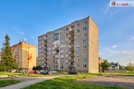 Prodej bytu 1+1, 41 m2, OV, Ostrov (okres Karlovy Vary), ul. Dru�ebn�