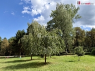 Prodej bytu 3+1, 64 m2, DV, Karvin�, R�j, ul. U Lesa