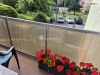 v�hled z lod�ie
