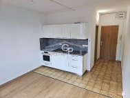 Pron�jem bytu 1+kk, 0 m2, OV, �esk� Bud�jovice, �esk� Bud�jovice 3, ul. Pek�rensk�