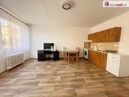 Pron�jem bytu 1+kk, 32 m2, OV, �st� nad Labem, Kr�sn� B�ezno, ul. Ne�t�mick�